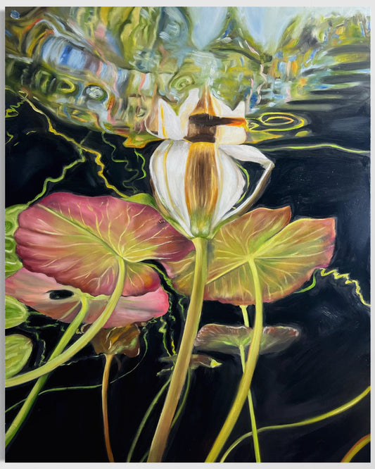Lillies Under Water